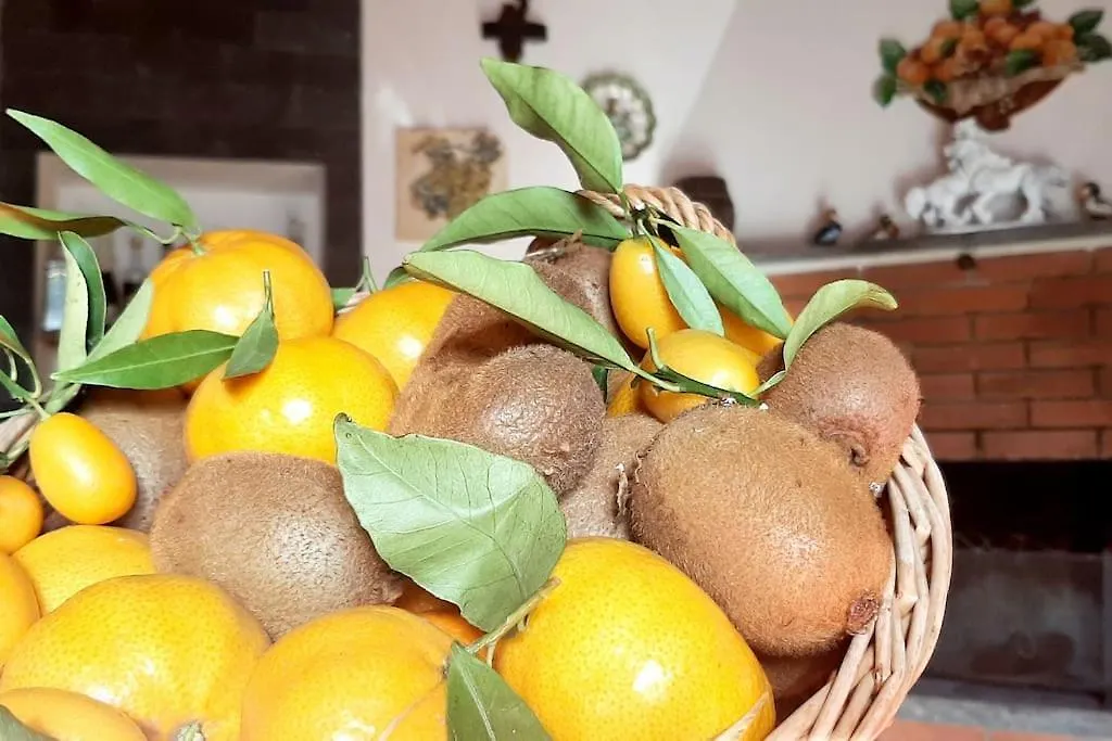 Casa Leopina Apri Gli Occhi E Vola Oltre Il Mare Villa Sant'Alfio Holiday home